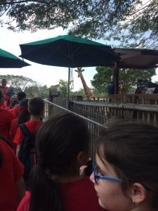 Visiting The Zoo 2017